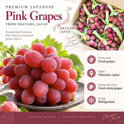Shien Red Seedless Grapes 紫苑葡萄